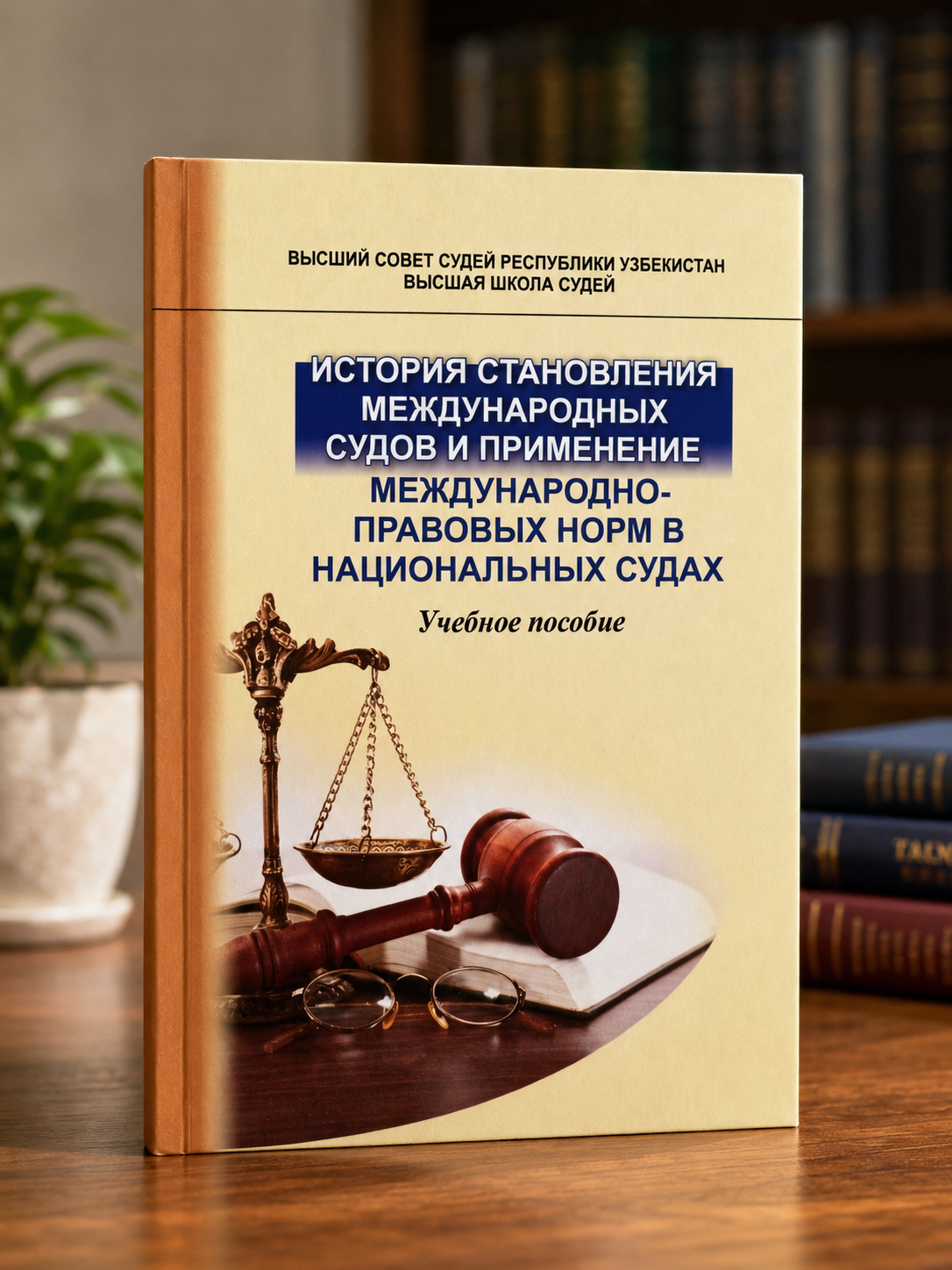 История становления международных судов и применение международно-правовых норм в национальных судах